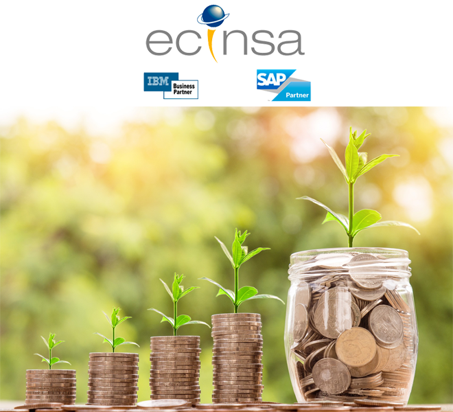 ECINSA: Calcula el coste de un sistema ERP en los próximos años