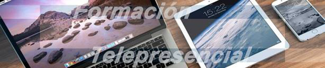 CESOL: Formación Telepresencial CESOL: Formación Telepresencial