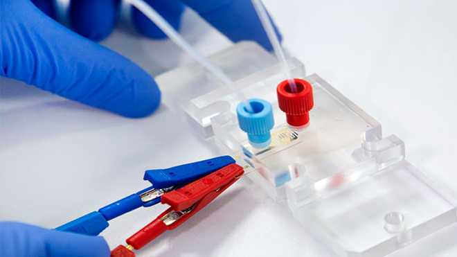 TEKNIKER: Nuevo kit genético para la detección rápida y segura del SARS-COV-2