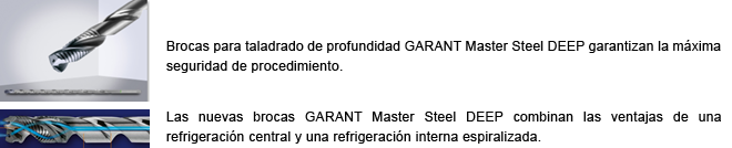 GARANT Master Steel DEEP