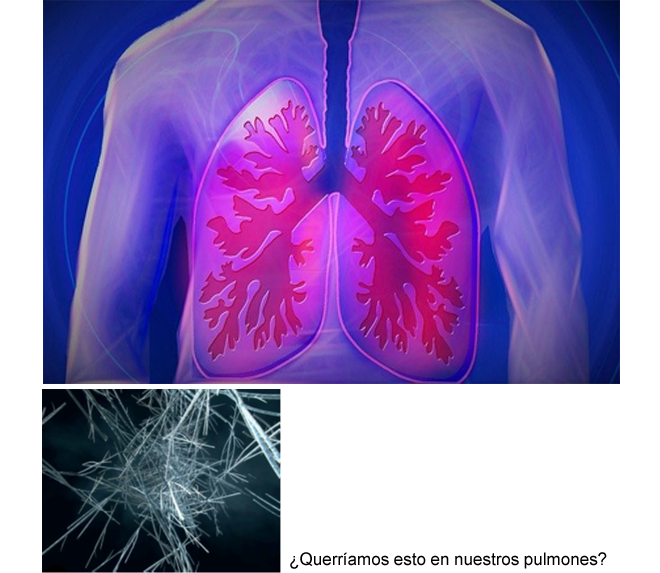 BARIN: Los peligros de las partículas en suspensión para nuestro sistema respiratorio