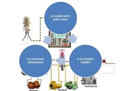 WGM Lubricantes. Soluciones integrales en lubricación - Servicio avísame